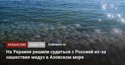 На Украине решили судиться с Россией из-за нашествия медуз в Азовском море