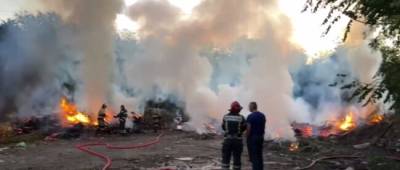 В ОРДО пытаются потушить пожар на свалке (видео)