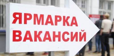 В Новгородской области в 3,5 раза снизился уровень безработицы с начала года
