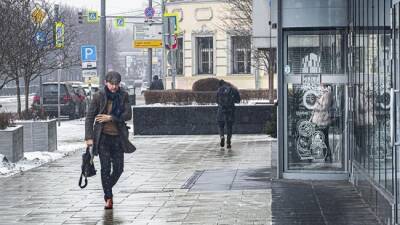 Синоптики прогнозируют плюсовые температуры в Москве 1 января