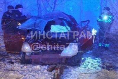 Пассажир Тoyota погиб после столкновения с деревом в новогоднюю ночь в Чите