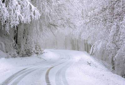 1 января в Ленобласти ожидается снежная погода с прояснениями