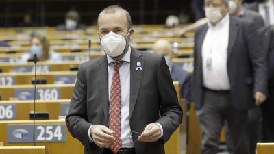 Немцы раскритиковали евродепутата за призыв ЕС участвовать в переговорах по Украине