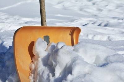Голый новосибирец вышел 1 января на улицу и почистил снег