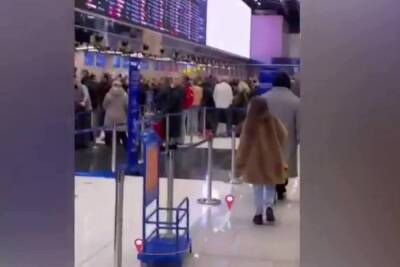 В московских аэропортах из-за отмены рейсов пассажиры встретили Новый год