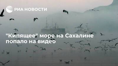В Сети появилось видео густого тумана на Сахалине, создающего эффект "кипящего моря"