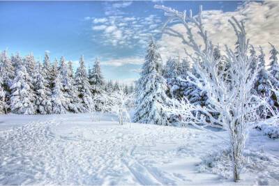 Морозная и солнечная погода ожидает ленинградцев 1 января