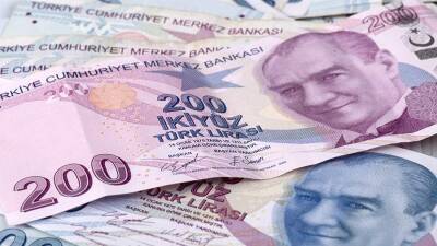 Эксперт назвал валюты, которым грозит крах в 2022 году