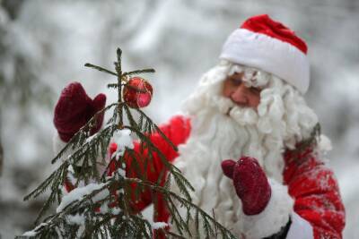Снежная с прояснениями погода ожидается в Ленобласти в первый день года