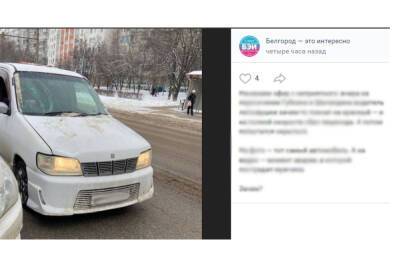 В Белгороде водитель поехал на красный свет и сбил пешехода на переходе
