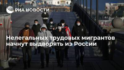 Нелегальных трудовых мигрантов с 1 января начнут выдворять из России
