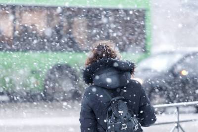 О сильном снегопаде предупредили жителей Псковской области