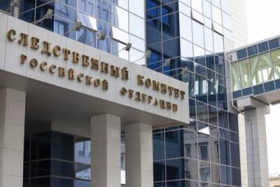 Глава СКР поручил проверить доводы противников концерта Тилля Линдемана в Новосибирске