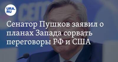 Сенатор Пушков заявил о планах Запада сорвать переговоры РФ и США
