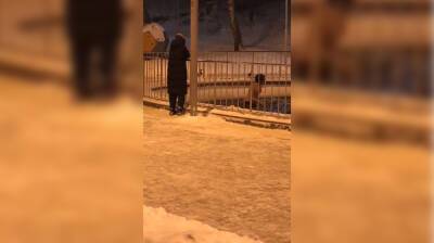 Воронежец в новогоднюю ночь искупался в озере Центрального парка