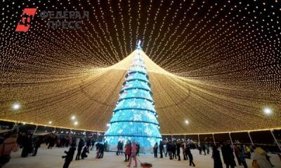 В Казани и Перми установили самые дорогие новогодние елки России