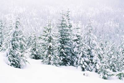 В Ленобласти похолодает до -18 градусов 2 января