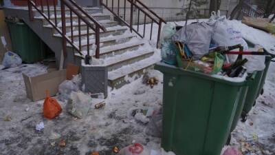 Петербуржцы пожаловались на утопающие в мусоре дворы и улицы города