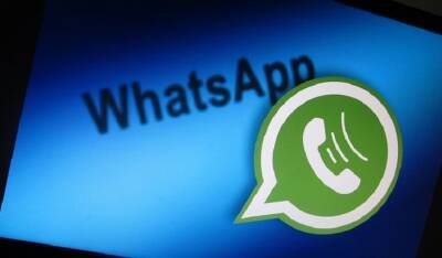 WhatsApp не даст умереть от голода
