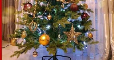Опрос показал, в какое время россияне убирают новогоднюю елку