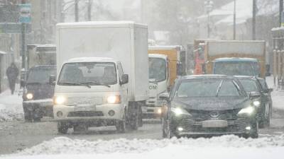 Вильфанд предупредил москвичей о коллапсе из-за снегопада