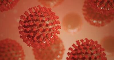 Вирусолог рассказал, чем опасны агрессивные антитела после COVID-19