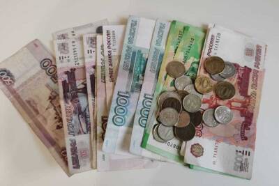 В Хабаровском крае средняя зарплата госслужащих в 2020 году превысила 77 тысяч рублей