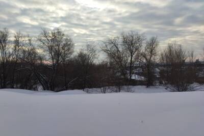 В первый рабочий день января в Саратовской области возможен легкий снег