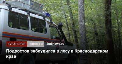 Подросток заблудился в лесу в Краснодарском крае