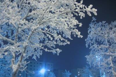 40-градусные морозы пообещали сибирякам на Старый новый год