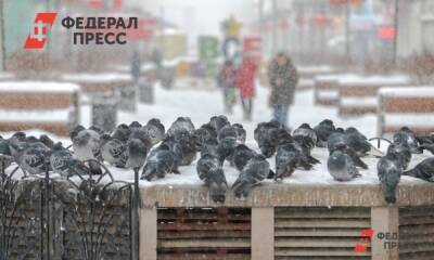Шесть сибирских регионов ожидают морозы в старый Новый год