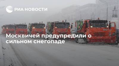 Синоптик Тишковец: в Москве в воскресенье ожидаются теплая погода и вечерний снегопад