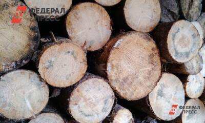 Приморские чиновники прокомментировали новости о найденном складе с незаконной древесиной