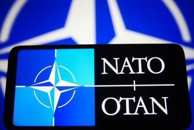 Американский эксперт Карпентер назвал «бесполезными для НАТО странами» Албанию, Словению и Черногорию