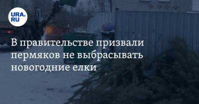 В правительстве призвали пермяков не выбрасывать новогодние елки - ura.news - Пермь - Пермский край - Краснокамск