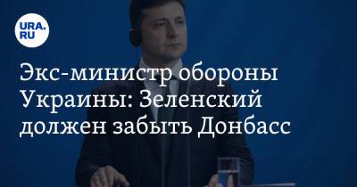 Экс-министр обороны Украины: Зеленский должен забыть Донбасс