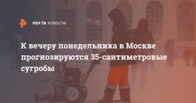 К вечеру понедельника в Москве прогнозируются 35-сантиметровые сугробы