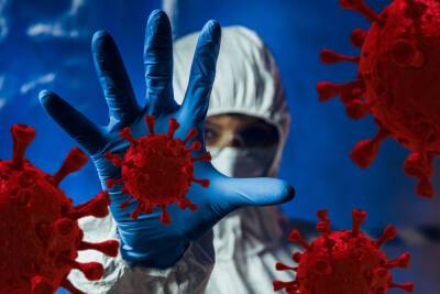 Коронавирусом заболели 214 человек в Ленобласти за последние сутки
