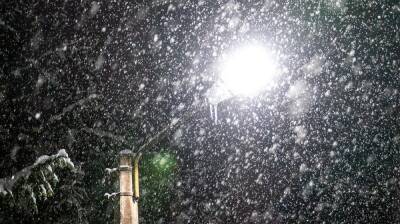 В Воронежской области пройдёт рекордный снегопад