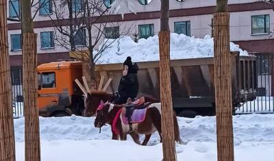 Тюменцы жалуются на хамство коневодов и выгул лошадей у элитных комплексов