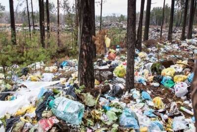 В Тверской области дачники завалили землю мусором