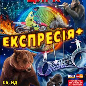 В запорожском цирке презентуют новое современное шоу «Экспрессия+»