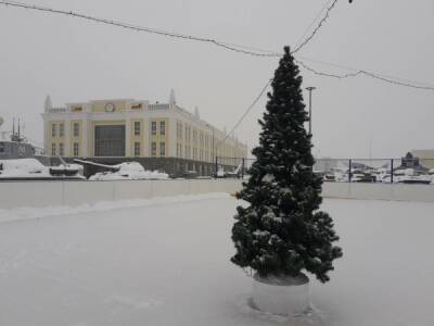 Немузей мусора в Екатеринбурге объявил прием новогодних елок на переработку