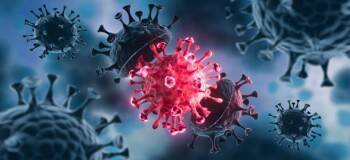 Ученые объяснили, как лишний вес влияет на тяжесть течения коронавируса