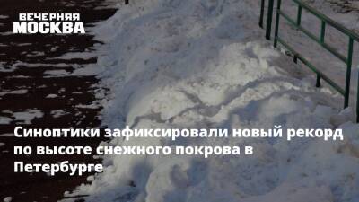 Синоптики зафиксировали новый рекорд по высоте снежного покрова в Петербурге