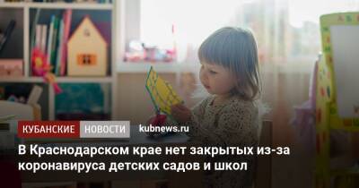 В Краснодарском крае нет закрытых из-за коронавируса детских садов и школ