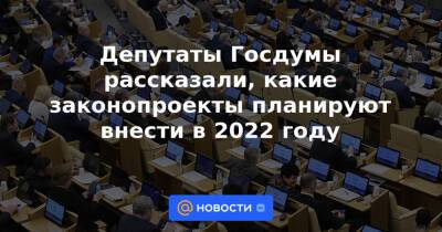 Депутаты Госдумы рассказали, какие законопроекты планируют внести в 2022 году