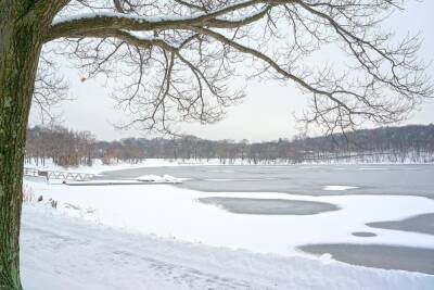 В Центральном парке Тулы провалились под лёд двое детей