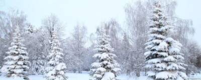 Жителей Башкирии предупредили о похолодании до -30 градусов