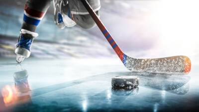 Обезьяна произвела вбрасывание перед началом матча НХЛ «Анахайм» – «Детройт» (ВИДЕО)